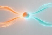 市场调研样本量计算方法与统计功效-Raccoon