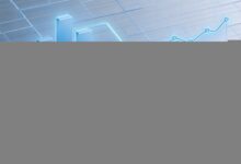 AI在个性化方案生成中的优化策略-Raccoon