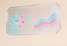 如何通过AI实现文档智能分类与整合?-Raccoon