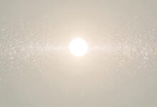 个性化计划生成工具哪款更适合企业？-Raccoon