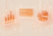 检测AI规划中遗漏环节的技巧-Raccoon