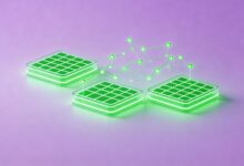 个性化写作AI工具排行榜2026-Raccoon