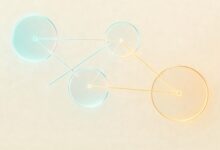 文档资产管理平台有哪些？企业文档管理方案-Raccoon