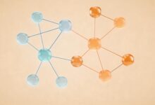 如何让AI更好地理解任务需求?描述技巧-Raccoon