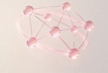 数智化转型成功的关键因素是什么？-Raccoon