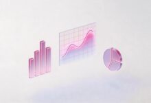 商务智能数据分析成功案例分享-Raccoon