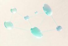 怎么做知识库搜索优化,让百度更快收录?-Raccoon