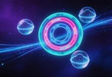 企业数智化转型的常见误区及避免方法-Raccoon