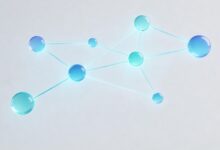 企业数智化的未来趋势与预测-Raccoon