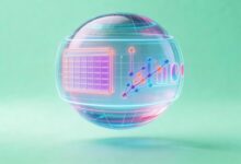 哪些工具适合进行个性化信息分析?-Raccoon