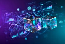 如何实现个性化信息分析帮助业务增长？-Raccoon