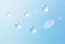 AI制定客户拜访计划和跟进方案-Raccoon