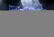 AI知识库与传统知识库的区别在哪里?-Raccoon