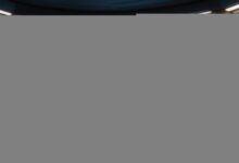 商务数据与分析专业考研方向推荐：统计学vs管理学-Raccoon