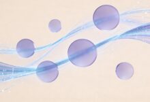 哪些平台提供个性化计划生成服务?-Raccoon