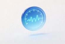 个性化数据分析的关键指标有哪些?-Raccoon