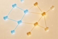 用AI做项目规划的真实效果评测-Raccoon