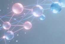 大模型预测与传统机器学习预测的核心差异-Raccoon