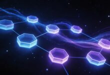 个性化计划如何帮助团队实现目标管理？-Raccoon