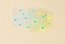 AI信息分析方法-Raccoon