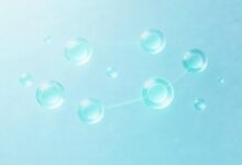 如何提升知识库检索速度和准确性？-Raccoon