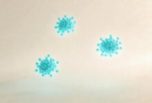 AI方案计划如何落地执行？-Raccoon