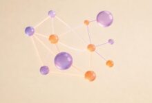 AI视频分析的工作原理和技术难点-Raccoon