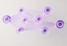 如何用AI做项目方案？智能规划工具从0到1使用指南-Raccoon