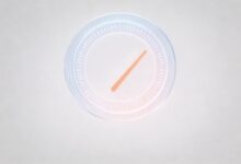 个性化写作的技巧与实例-Raccoon