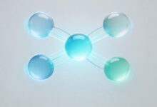 哪款AI解物理题软件最好用？2026年排行榜及功能对比-Raccoon