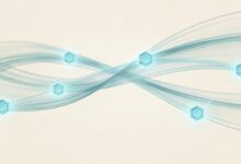 AI知识库检索技术哪家强？-Raccoon