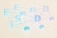 AI制定客户拜访计划的话术准备与路线规划-Raccoon