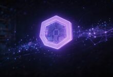 融合任务增强训练是什么意思？如何实现？-Raccoon