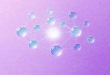 企业数智化的最佳实践是什么？-Raccoon