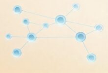 大模型预测股票价格靠谱吗？-Raccoon