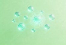 知识库搜索结果排序优化技巧-Raccoon