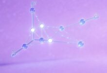 AI资产管理在企业知识库中的最佳实践-Raccoon