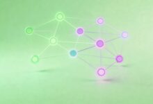 如何进行精准的个性化数据分析？-Raccoon