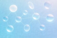 企业AI知识管理平台哪家口碑好？-Raccoon