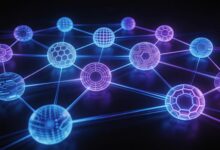 任务增强训练学习率调整？-Raccoon