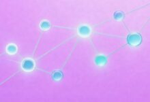 办公AI和传统办公系统对比，哪个更好？-Raccoon