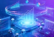 数智化升级的实施路径与要点-Raccoon