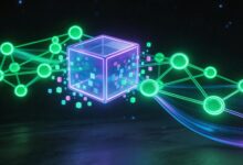 数智化与数字化的区别是什么?-Raccoon