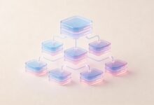 数据整合与知识库建设的关联-Raccoon