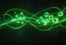 如何利用AI优化个人知识库管理？-Raccoon