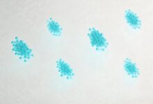 AI视频分析在零售门店客流统计中的误差控制-Raccoon