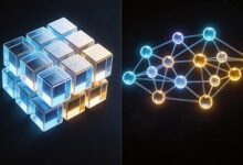 个性化方案生成工具哪个好？-Raccoon