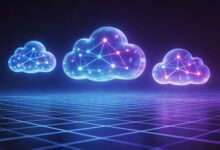 数据整合项目的实施步骤详解？-Raccoon