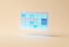 如何用AI解复杂方程组？-Raccoon