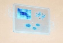 个性化分析报告怎么写？AI辅助-Raccoon